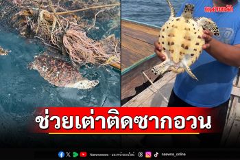 ชื่นชม! หนุ่มกัปตันเรือใจดี ช่วยชีวิตเต่าตนุติดซากอวนประมง