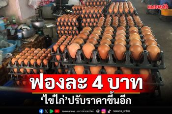 ฟองละ4บาท! ไข่ไก่ปรับราคาขึ้นอีก ร้อนสลับฝนตก\'ไก่เครียด-ป่วย\'