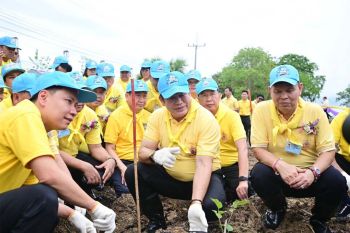 ‘ก.เกษตร’รวมใจปลูกหม่อน น้อมถวาย 46 พรรษา สมเด็จพระนางเจ้าฯ พระบรมราชินี