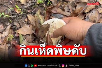 ระวังด้วย! ชาย45ปี เก็บเห็ดมาย่างกิน เสียชีวิต