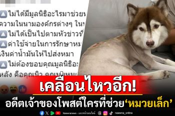 เคลื่อนไหวอีกรอบ! สาวมือราดน้ำร้อนใส่หมาไซบีเรียน ซัดเดือดไม่ต้องไปขอบคุณมูลนิธิ