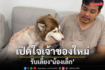 เปิดใจเจ้าของใหม่! รับเลี้ยง\'น้องเล็ก\' หมาไซบีเรียนโดนสาดน้ำร้อนเหวอะหวะ