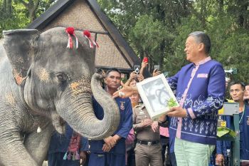 ‘นายกฯ’ลุยต่อเมืองลำปาง ตรวจโรงพยาบาลช้าง เยี่ยม‘พลายศักดิ์สุรินทร์’