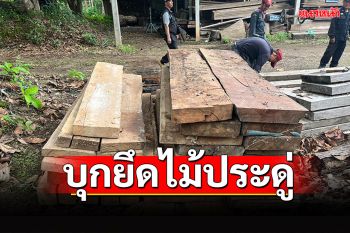 เจ้าหน้าที่บุกค้นบ้านเป้าหมาย ยึดไม้ประดู่จำนวนมาก