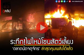 (คลิป) ระทึก!ไฟไหม้‘ตลาดจตุจักร’โซนปลา-สัตว์เลี้ยง คุมเพลิงได้แล้ว