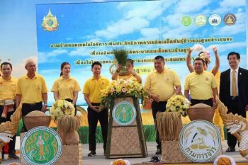 กระทรวงเกษตร-กรมการข้าว เฉลิมพระเกียรติในหลวง จัดงานถ่ายทอดเทคโนฯเพิ่มประสิทธิภาพผลิตเมล็ดพันธ์ข้าว