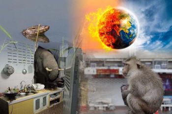 สกู๊ปแนวหน้า : ‘โลกร้อน-พัฒนาไม่สมดุล’  ปัจจัยเอื้อ‘คน-สัตว์’ขัดแย้ง