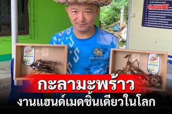 สร้างสรรค์\'กะลามะพร้าว\'เป็นงานแฮนด์เมดชิ้นเดียวในโลก ฮิตสุด!ฮาเล่ย์ เวสป้า ตุ๊กตุ๊ก