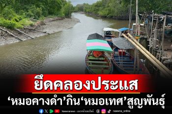 \'ปลาหมอคางดำ\'ยึดคลองประแส ชาวบ้านจี้เร่งจัดการ ตอนนี้ปลาหมอเทศสูญพันธ์ุแล้ว