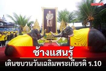 \'ช้างแสนรู้\'เดินขบวนวันเฉลิมพระเกียรติ พระชนมพรรษาในหลวง ร.10