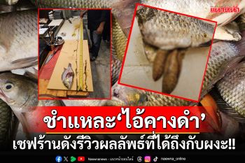 เชฟร้านดังรีวิวชำแหละ\'ปลาหมอคางดำ\'ผลลัพธ์ที่ได้ถึงกับผงะ!!