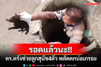 รอดแล้วนะ!! ตร.ตรังช่วยลูกสุนัข 4 ตัวได้อย่างปลอดภัย หลังพลัดตกบ่อเกรอะ