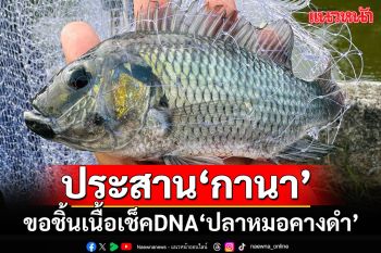 \'กรมประมง\'ร่อนหนังสือถึง\'กานา\'ขอชิ้นเนื้อตรวจดีเอ็นเอ หาต้นตอที่มา\'ปลาหมอคางดำ\'