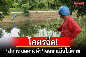 ดอกเตอร์นักล่าปลาเผย\'ปลาหมอคางดำ\'โคตรอึดเจอยาเบื่อตัวอื่นตายตัวเองรอด