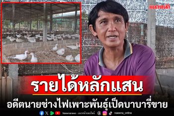 เกษตรกรยุคใหม่ทำระบบฟักไข่เพาะพันธุ์เป็ดบาบารี่ขายสร้างรายได้หลักแสนต่อเดือน