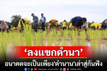 อนาคต\'ลงแขกดำนาเกี่ยวข้าว\'จะเป็นเพียง\'ตำนาน\'เอาไว้เล่าสู่สืบต่อกันฟัง