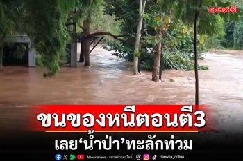 น้ำป่าทะลัก! ท่วมหมู่บ้านตีนภูหลวง ขนของหนีวุ่นตอนตี3