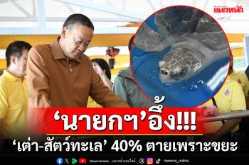 ‘นายกฯลงพื้นที่ภูเก็ต อึ้ง‘เต่า-สัตว์ทะเล’ 40% ตายเพราะขยะ