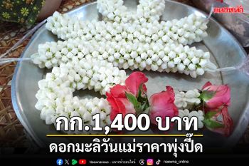 แม่ค้าร้องจ๊าก! ดอกมะลิวันแม่ราคาพุ่ง ชัยภูมิขายแพง กก.1,400บาท