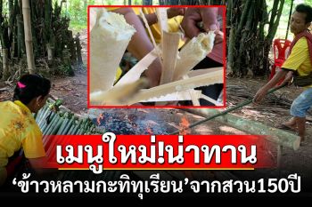 เมนูใหม่ของอร่อยเมืองตรัง! \'ข้าวหลามน้ำกะทิทุเรียนบ้าน\' จากสวนทุเรียน 150 ปี