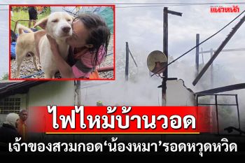 ไฟไหม้บ้านพ่อค้าปลาวอดทั้งหลัง\'น้องหมา\'สุดที่รักรอดหวุดหวิดเจ้าของโผเข้ากอด