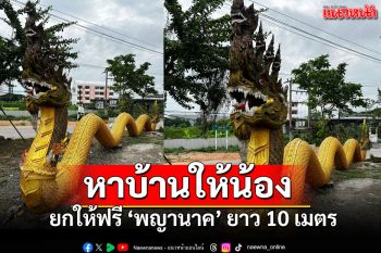 โซเชียลฮือฮา! สาวประกาศหาบ้านให้ \'พญานาค\' ยกให้ฟรีแต่ต้องมาขนเอง