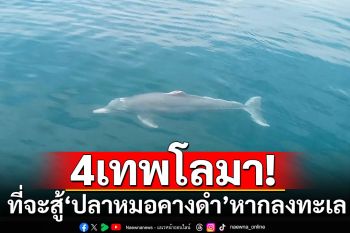 \'ดร.ธรณ์\' เปิดข้อมูล \'4เทพโลมา\' ที่จะสู้ \'ปลาหมอคางดำ\' หากลงทะเล