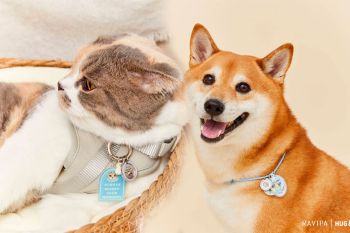 RAVIPA เปิดตัว Hug & Paws Lucky Charm เครื่องรางปกป้องดูแลสัตว์เลี้ยงแสนรัก