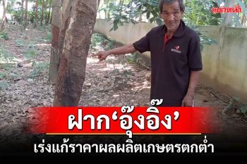 ชาวบุรีรัมย์ฝากถึง\'อุ้งอิ้ง\'นายกรัฐมนตรีคนใหม่เร่งแก้ราคาผลผลิตเกษตรตกต่ำ