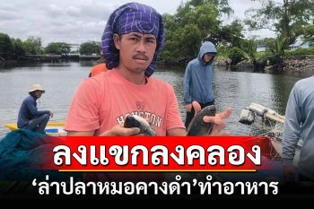 ลงแขกลงคลองล่าปลาหมอคางดำ\'ปลาตัวใหญ่ทำอาหาร ตัวเล็กให้ปลานักล่ากำจัด\'