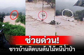 ระทึก!น้ำป่าดอยเวียงแก่น-เทิงไหลทะลักท่วมบ้าน ปชช.เร่งช่วยชาวบ้านติดบนต้นไม้