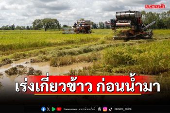 ‘พิษณุโลก’เปิดศูนย์ช่วยเหลือเกษตรกร‘เร่งเกี่ยวข้าว ก่อนน้ำมา’