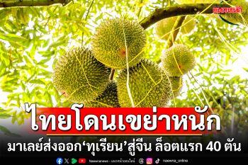 ไทยโดนเขย่าหนัก!!! มาเลย์ส่งออก\'ทุเรียน\'สู่จีน ล็อตแรก 40 ตัน