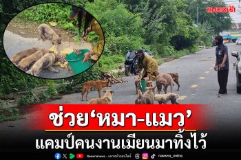 ช่วย\'ฝูงหมา-แมว\'แคมป์พม่า คนงานทิ้งไว้-โดนงูเหลือมกิน