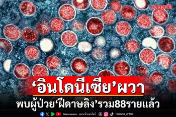 ผวา! \'อินโดนีเซีย\'พบผู้ป่วย\'ฝีดาษลิง\'รวม 88 รายแล้ว