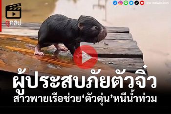 (คลิป) ผู้ประสบภัยตัวจิ๋ว! สาวใจบุญพายเรือช่วย\'เจ้าตัวตุ่นน้อย\'ลอยคอหนีน้ำท่วมเมืองแพร่