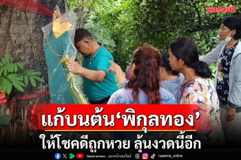 ชาวบ้านแก้บน\'พิกุลทองยักษ์\'อายุ 100 ปีหลังถูกหวย เผยงวดนี้เจอจังๆอีก