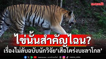 ไข่นั้นสำคัญไฉน? เรื่องไม่ลับฉบับนักวิจัย\'เสือโคร่งบะลาโกล\'