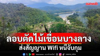 ลอบตัดไม้เหนือเขื่อนบางลาง กลุ่มขบวนการส่งสัญญานWiFiส่งหนีจับกุม