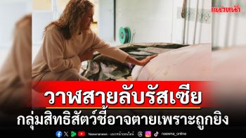 กลุ่มสิทธิสัตว์เผย\'วาฬสายลับรัสเซีย\'อาจตายเพราะถูกยิง