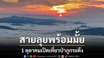 สายลุยพร้อมหรือยัง! 1 ตุลาคมเปิดเที่ยวป่าภูกระดึง เตรียมจองที่พัก