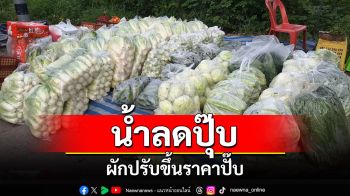 ชาวพะเยาโอดน้ำลดผักขึ้นราคา\'คะน้า\'กิโลกรัมละ 60 บาท