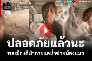 (คลิป) รอดแล้วนะเจ้าเหมียว! พลเมืองดีฝ่ากระแสน้ำช่วยน้องแมว