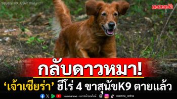 กลับดาวหมา! \'เจ้าเซียร่า\'สุนัขK9ตายแล้ว ชาวโซเชียลคอมเมนต์เศร้า\'หลับให้สบายนะ\'