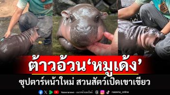 รู้จัก \'น้องหมูเด้ง\' ฮิปโปแคระ ซุปตาร์หน้าใหม่สวนสัตว์เปิดเขาเขียว