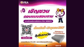 เชิญชวนตอบแบบสอบถามความพึงพอใจการใช้บริการ PEA Website ลุ้นรับรางวัล หมอนสุขภาพแบบอเนกประสงค์