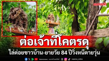 \'ต่อหัวเสือ\'ยึดศาลพระภูมิทำรังโคตรดุไล่ต่อยชาวบ้าน-ยายวัย 84 ปีวิ่งหนีตายวุ่น