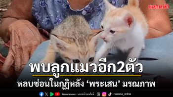 ลูกชายตรวจสอบทรัพย์สิน\'หลวงพ่อ\'ที่มรณภาพพบ\'ลูกแมวน้อย\'อีก 2 ตัวแอบอยู่ในกุฏิ