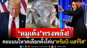 รายการดังอเมริกาเปิดผลโหวตเลือกตั้งปธน.สหรัฐ \'หมูเด้ง\'คะแนนโค่น\'ทรัมป์-แฮร์ริส\'ถล่มทลาย