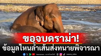 ขอจบดราม่า! \'ผอ.ศูนย์บริบาลช้าง\'ชี้ไม่อยากเสียเวลา ย้ำข้อมูลไหนล้ำเส้นส่งทนายพิจารณา